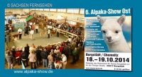 Video - Alpaka-Show Sachsen Fernsehen